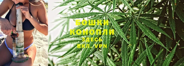 трава Алексеевка