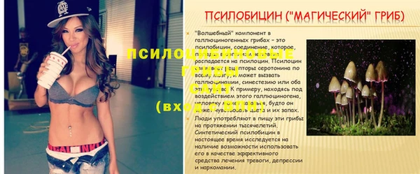 jwh Алексин