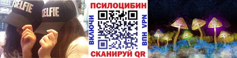 где купить   Брянск  Галлюциногенные грибы Psilocybine cubensis 